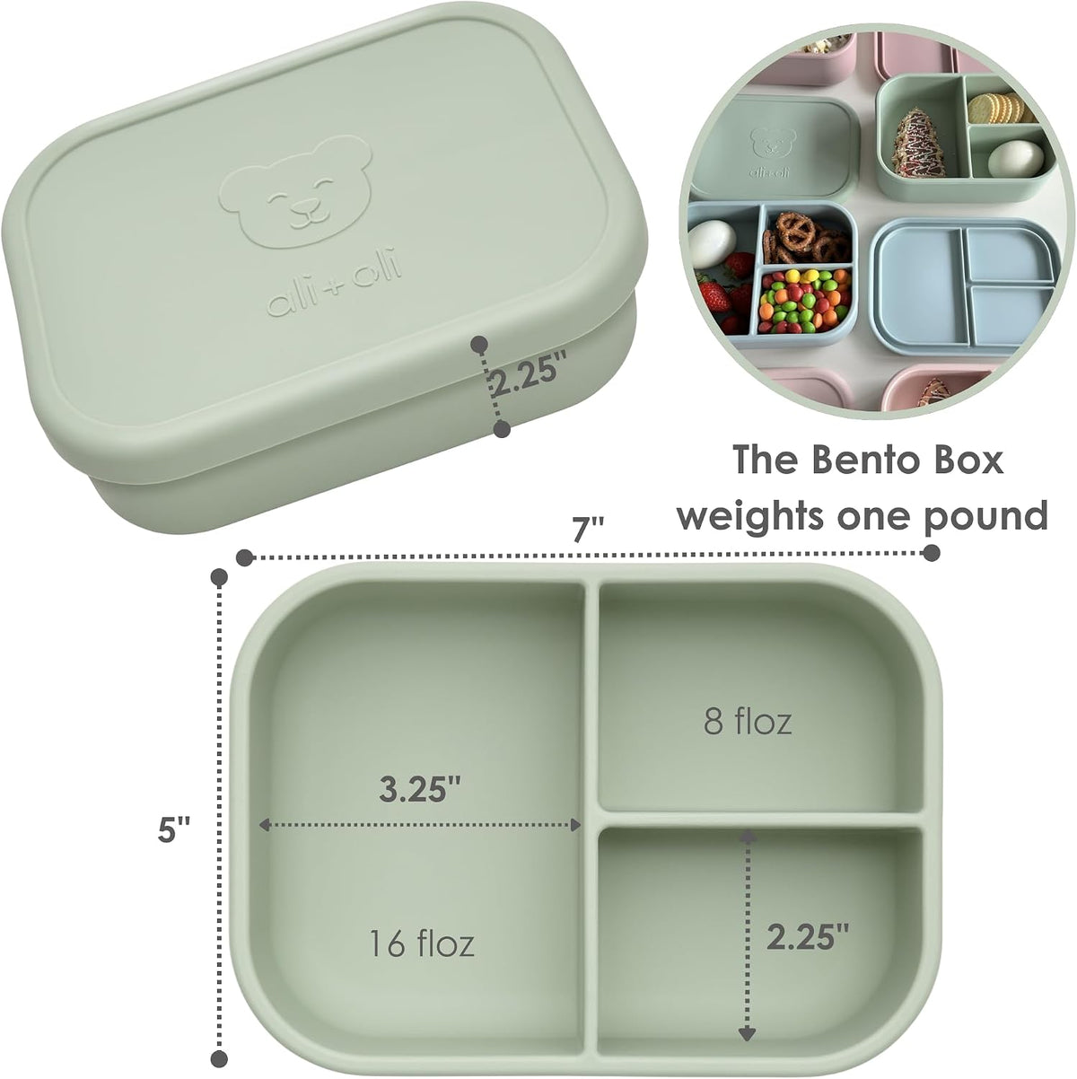 Ali+Oli Silicone Bento Box for Kids, Lunch Container for Toddler Daycare
