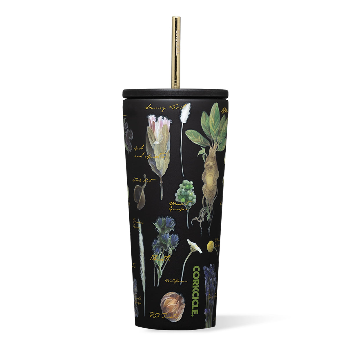 Corkcicle Cold Cup Straw Tumbler, 24 oz, Harry Potter