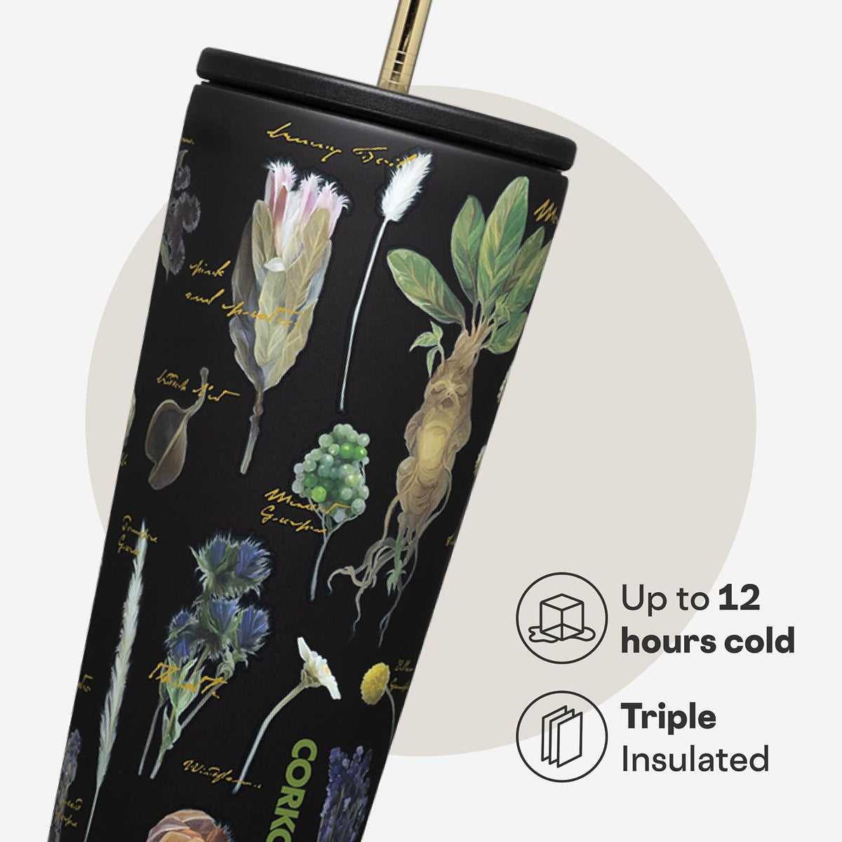 Corkcicle Cold Cup Straw Tumbler, 24 oz, Harry Potter